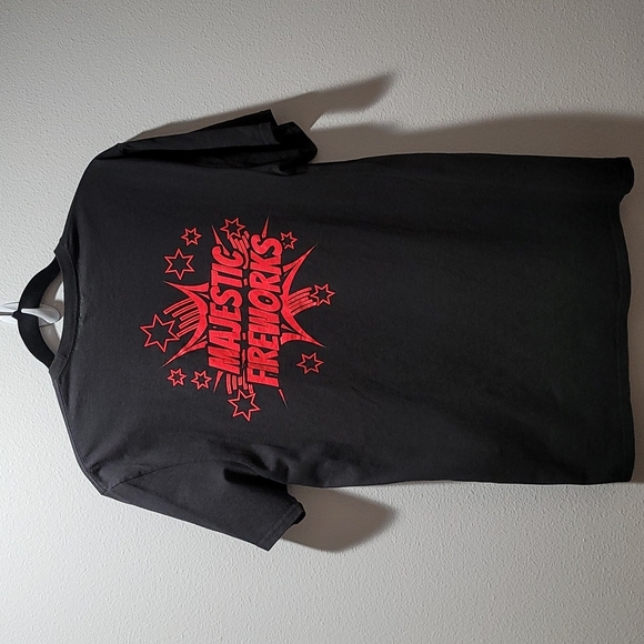 LOONEY TUNES TEE SHORT SLEEVE CREWNECK TSHIRT WILE E COYOTE BOXY LARGE MENS TOP - Picture 13 of 14